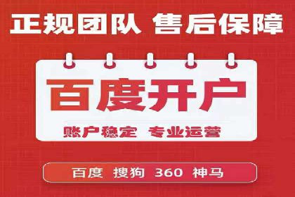 SEM运营推广助力行业领导地位